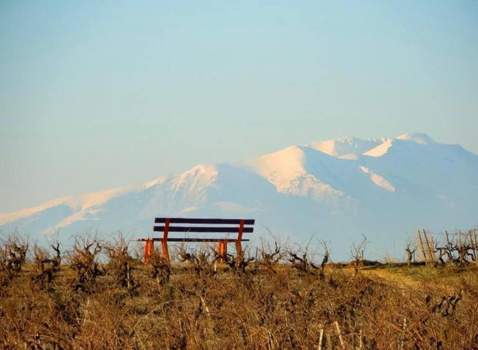 La Maison Des Vendangeurs Canet-en-Roussillon Esterno foto