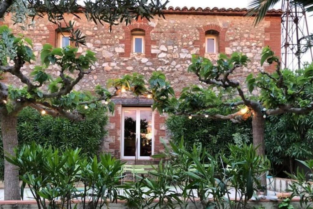 La Maison Des Vendangeurs Canet-en-Roussillon Esterno foto