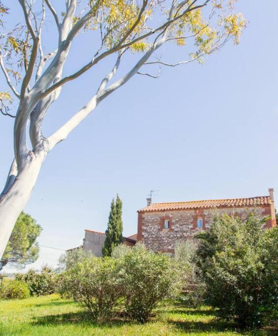 La Maison Des Vendangeurs Canet-en-Roussillon Esterno foto