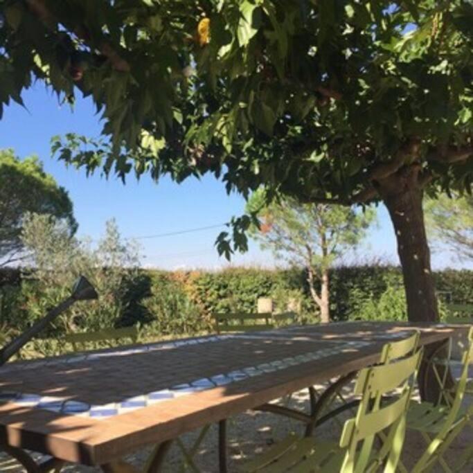 La Maison Des Vendangeurs Canet-en-Roussillon Esterno foto
