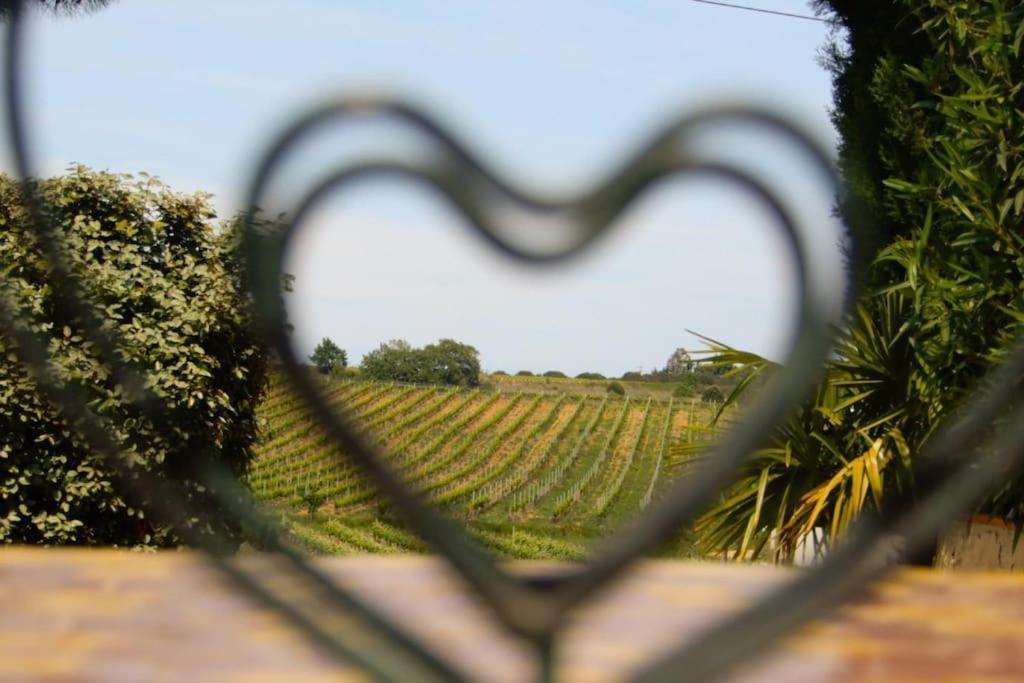 La Maison Des Vendangeurs Canet-en-Roussillon Esterno foto