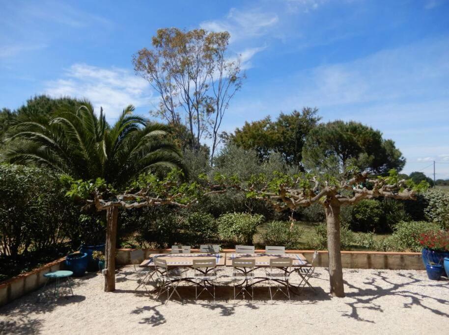 La Maison Des Vendangeurs Canet-en-Roussillon Esterno foto