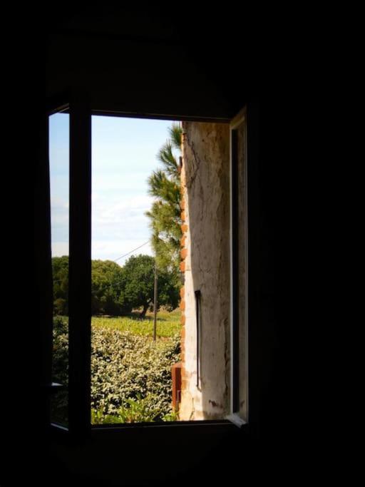 La Maison Des Vendangeurs Canet-en-Roussillon Esterno foto